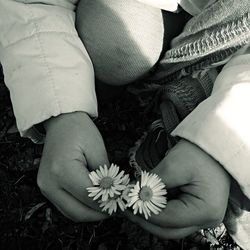 Close-up of woman holding flowers