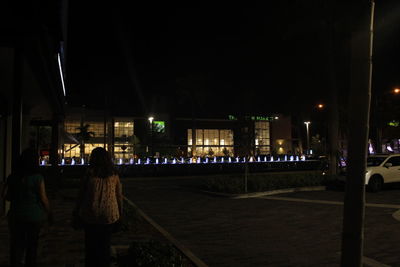 Rear view of people walking on illuminated street at night