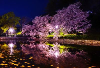 Illuminated trees by lake against sky at night