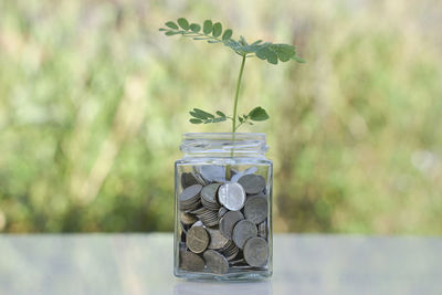 Close-up of glass jar on table