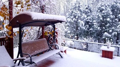 Snow covered bench by trees during winter