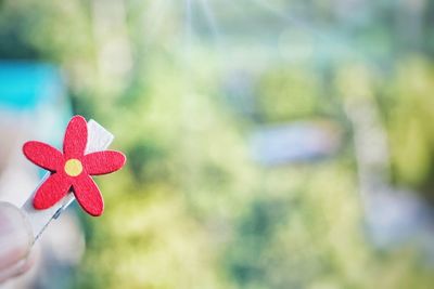 Close-up of red flower against blurred background