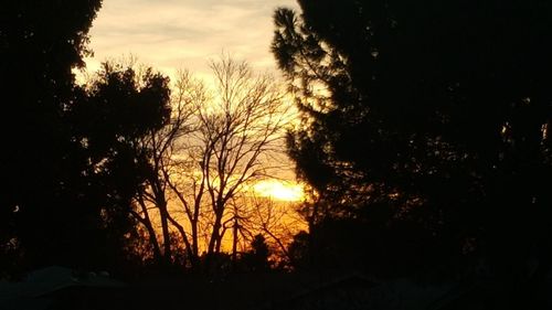 Silhouette trees against sky during sunset