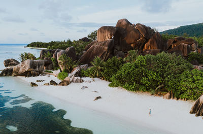 Aerial view of man at beach