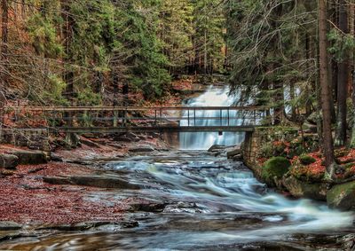 Reflection of trees in water against sky