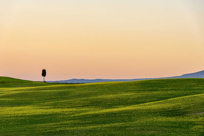 Scenic view of grassy field against sky during sunset