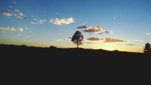 Silhouette of trees on landscape at sunset