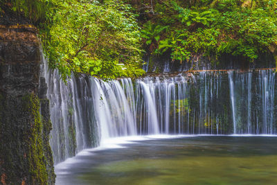 Scenic view of waterfall in forest