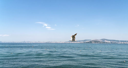 Scenic view of sea against blue sky