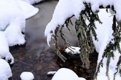 Close-up of snow