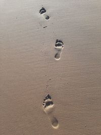 High angle view of footprints on wet sand