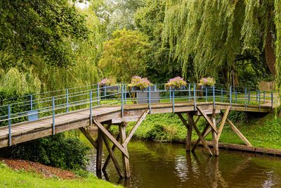 Bridge over river amidst trees in forest