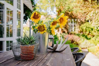 Potted plant in basket on table