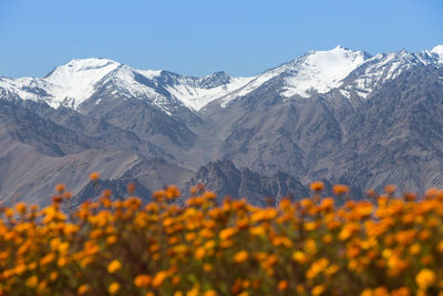 Scenic view of snowcapped mountains against sky