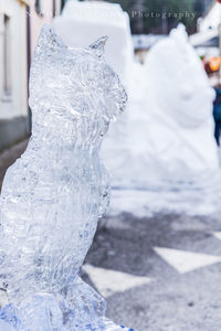 Close-up of snow covered sculpture