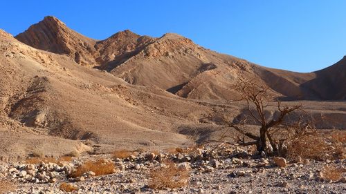 Scenic view of arid desert against blue sky