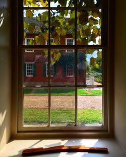 Lawn seen through window