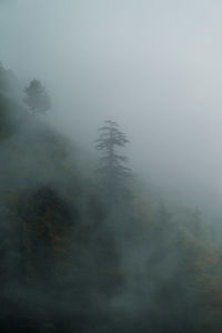 Scenic view of trees against sky during foggy weather