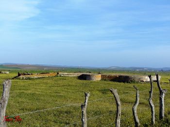 Scenic view of agricultural field against sky