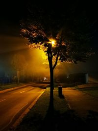 Trees by illuminated street against sky at night