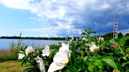 Scenic view of lake against cloudy sky