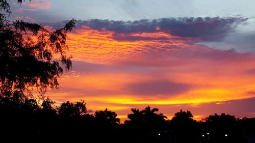 Low angle view of silhouette trees against orange sky