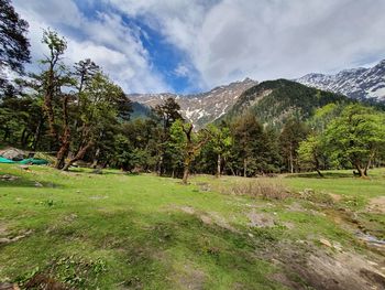 Scenic view of trees and mountains against sky