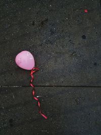 High angle view of pink balloons