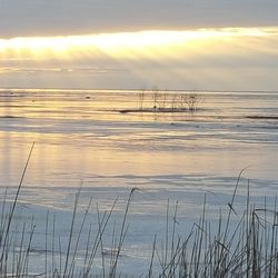 Scenic view of lake at sunset