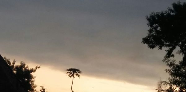Low angle view of silhouette trees against sky at sunset
