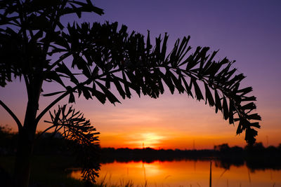 Silhouette tree by lake against sky during sunset