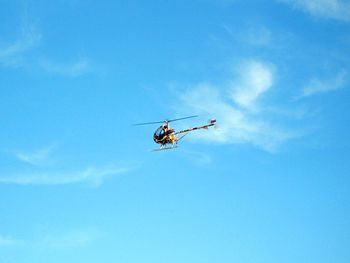 Low angle view of insect against blue sky