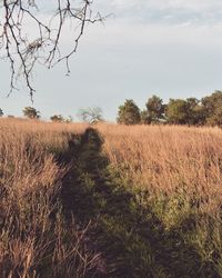 Scenic view of field against cloudy sky