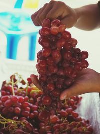 Close-up of hand holding strawberries