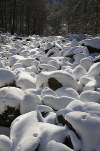 Scenic view of snow covered field