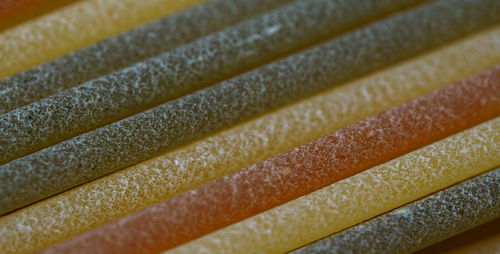 Close up of colorful tricolor spaghetti pasta