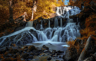 Scenic view of waterfall in forest