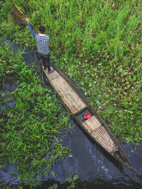 High angle view of man by plants