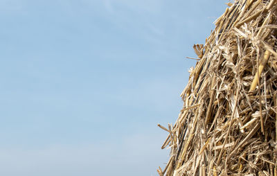 Low angle view of hay bales against sky