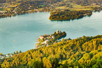 High angle view of trees by lake