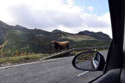 Rear view of man standing on road