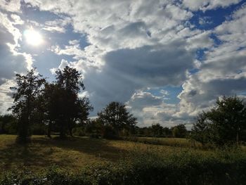 Trees growing on grassy field against cloudy sky