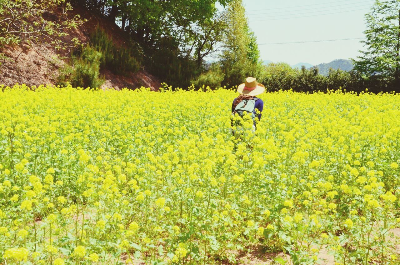 lifestyles, leisure activity, casual clothing, full length, agriculture, field, growth, rural scene, person, grass, childhood, tree, plant, boys, farm, nature, green color, yellow