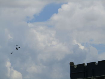 Low angle view of birds flying in sky