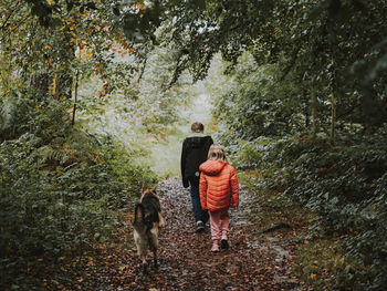 Rear view of man and dog walking in forest