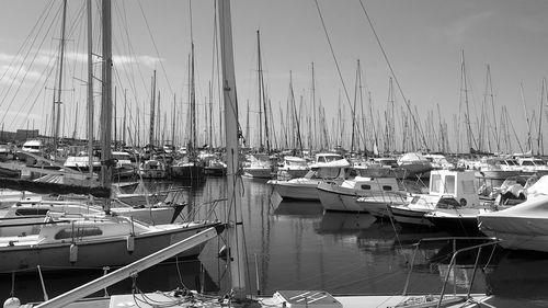 Sailboats moored in harbor