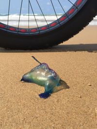 Animal shape toy by motorcycle at beach