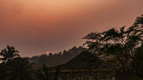 Low angle view of palm trees against sky at sunset