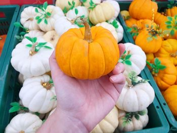 High angle view of pumpkins in market