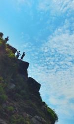 Low angle view of trees against blue sky